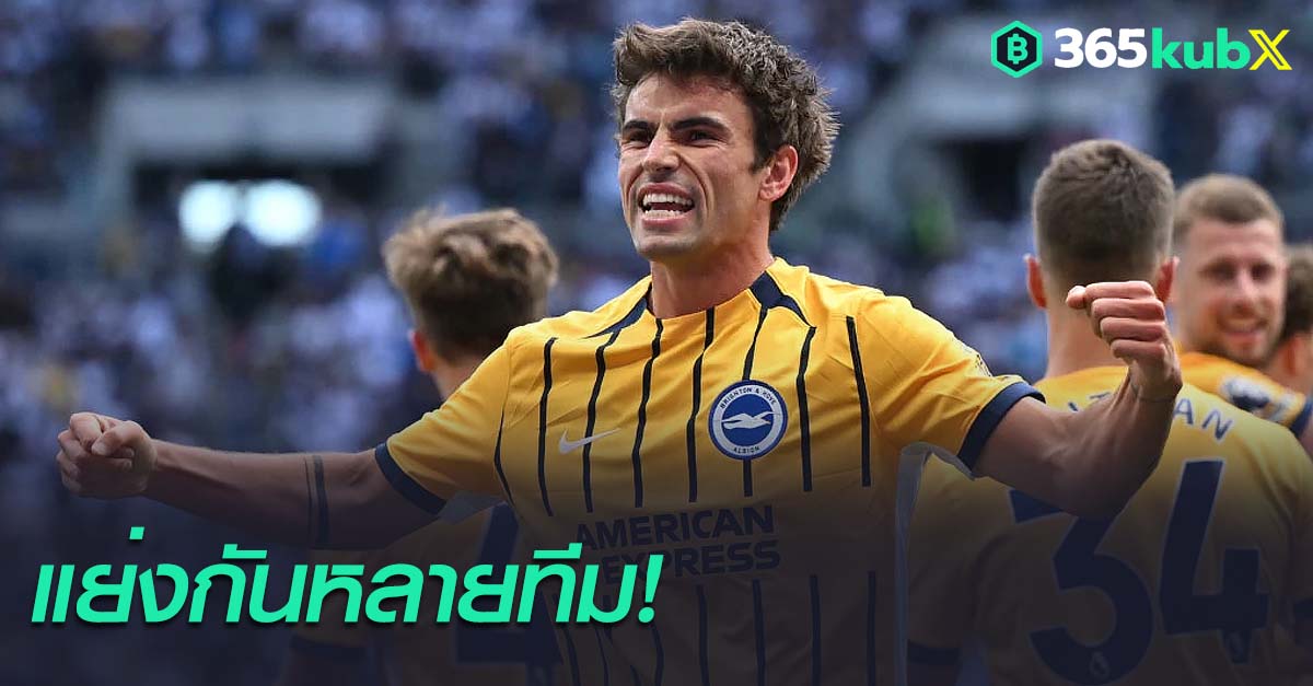 แม็ตต์ โอไรลี่ย์