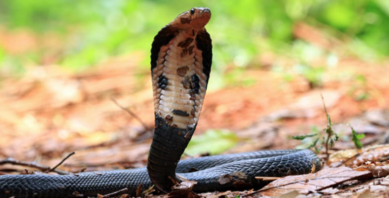 หวย