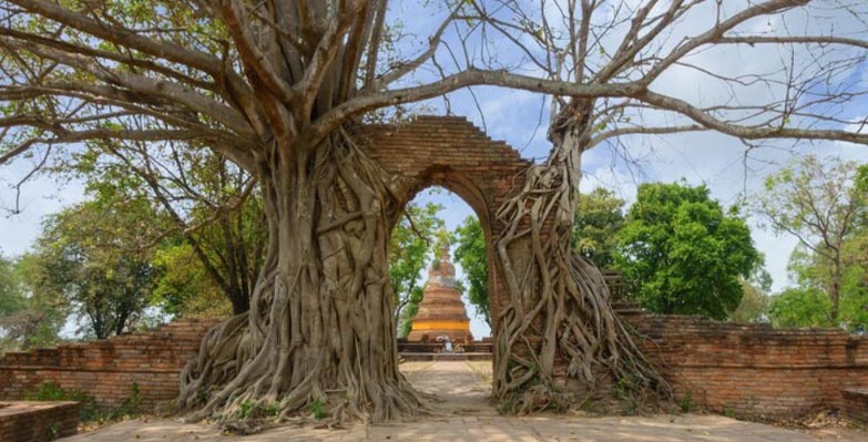 เลขเด่น