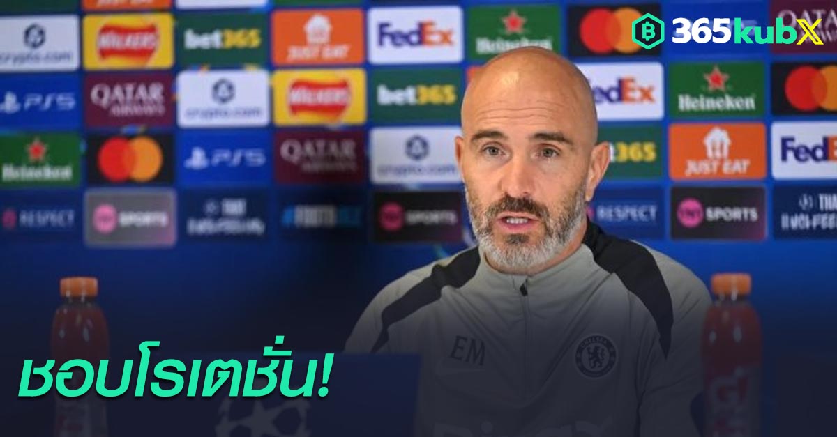 เอ็นโซ่ มาเรสก้า