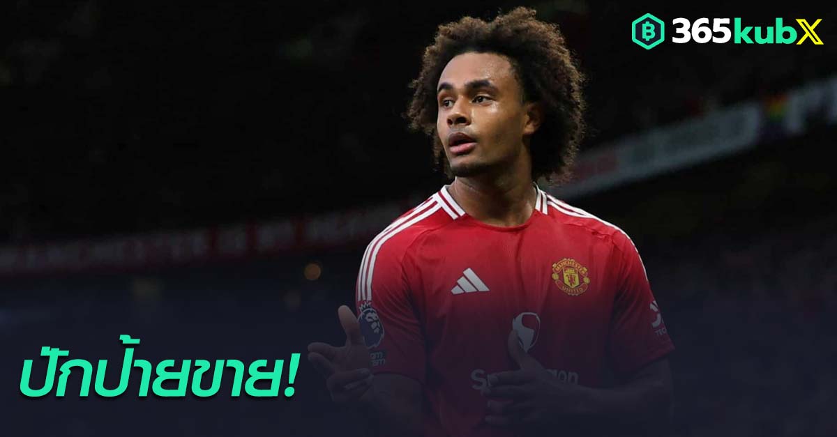 โจชัว เซิร์กซี