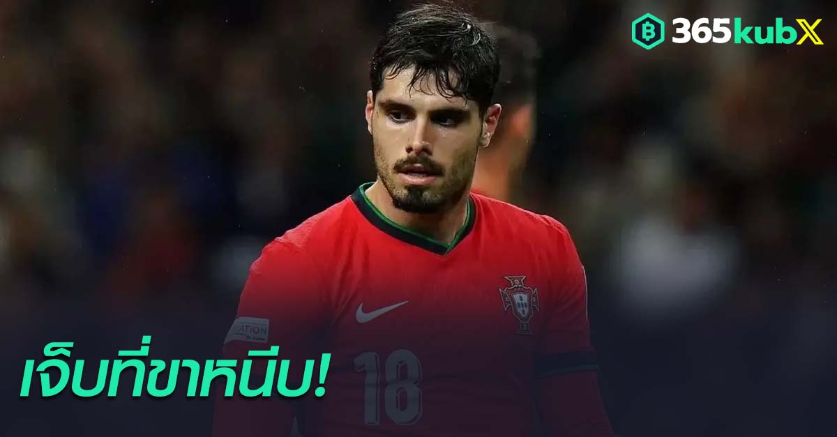 เปโดร เนโต้