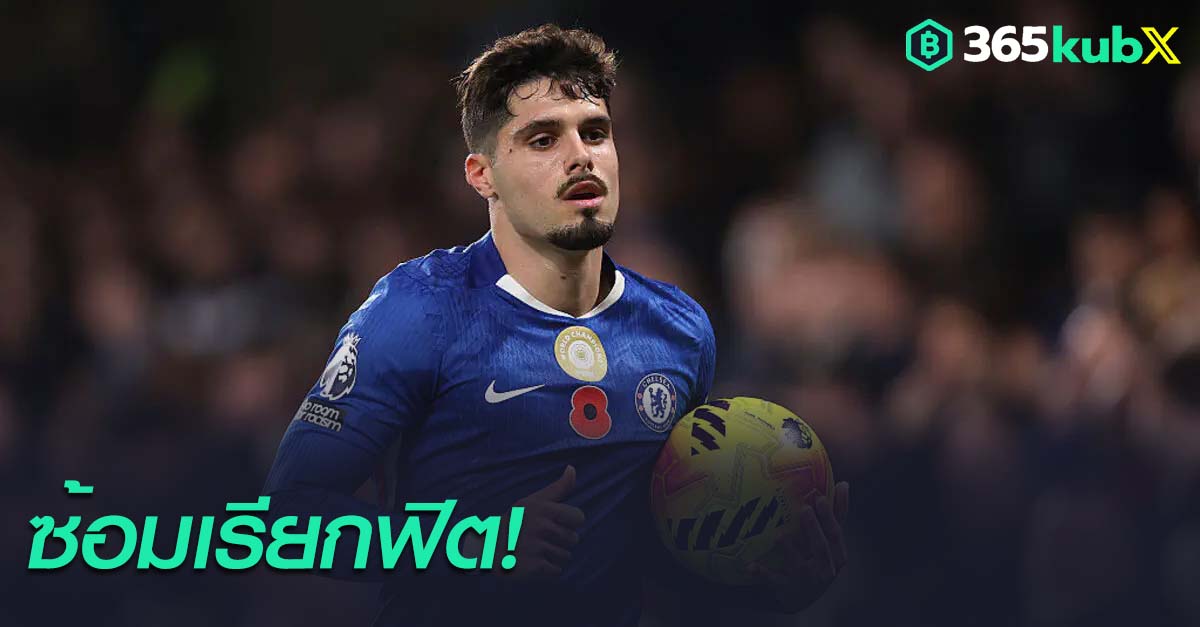 เปโดร เนโต้