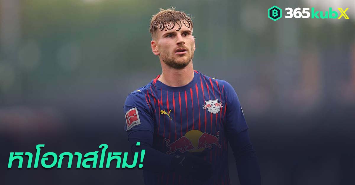 ติโม แวร์เนอร์