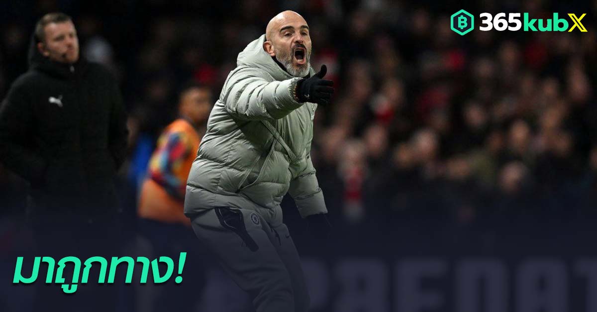 เอ็นโซ่ มาเรสก้า