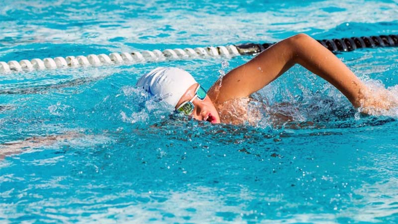 ฝันว่าว่ายน้ำเลขเด็ด