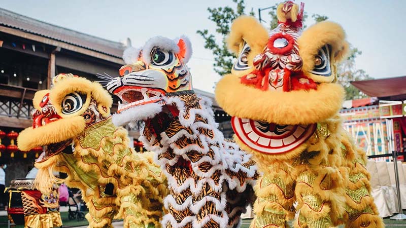 ฝันว่าเชิดสิงโต